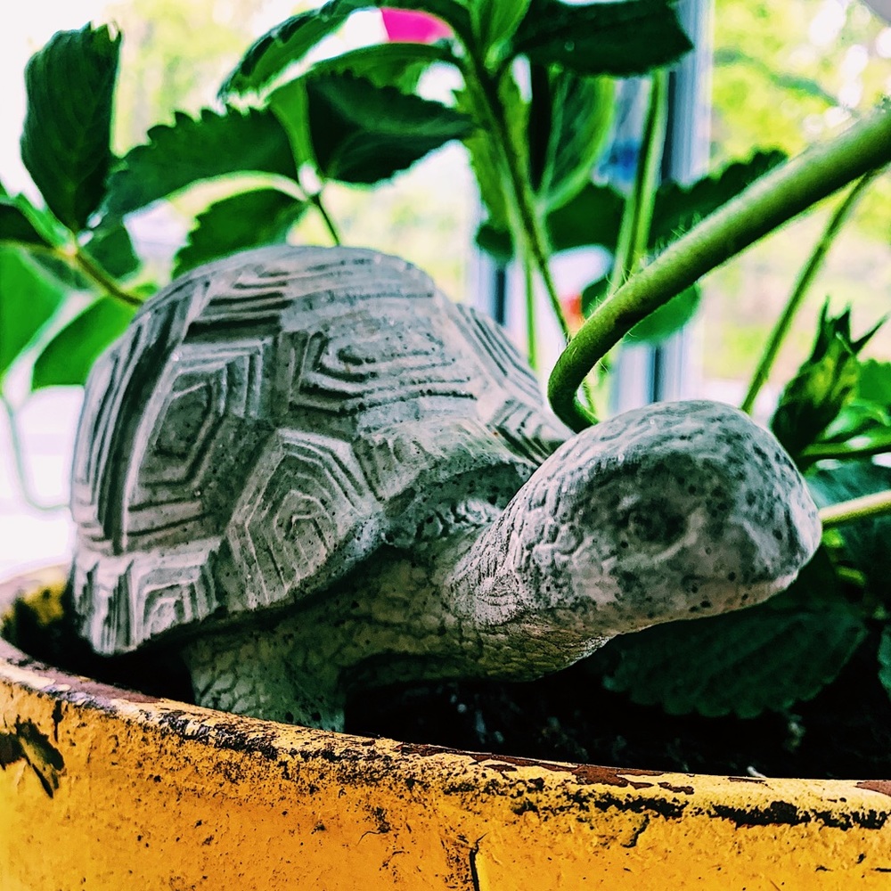 Meet your Posher, Adryana